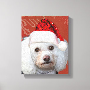Copie de toile d'enveloppe de galerie de caniche