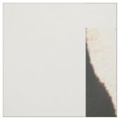 Copie peignée de zèbre de tissu du coton (56" (Échantillon)