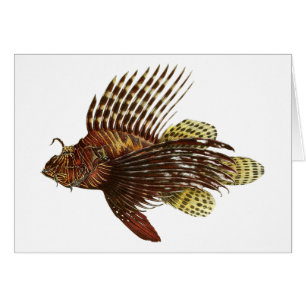 Copie vintage de Lionfish rouge