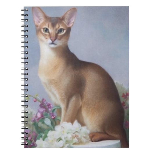 Copper Beauty – Abyssinian Cat Notebook Notitieboek (Voorkant)