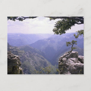 Copper Canyon Briefkaart