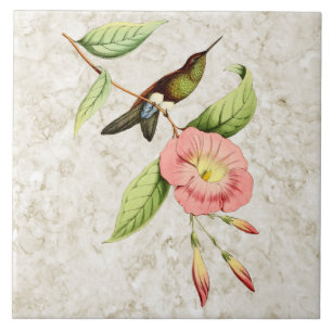 Copperen Bellied Puffleg Hummingbird Ceramic Tile Tegeltje