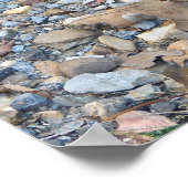 Copperhead Snake is uitgelekt bij het schemerige P Poster (Hoek)