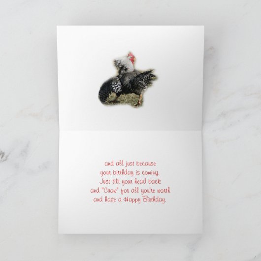 Coq avec mauvaise carte d'attitude - pour toute oc (Intérieur)