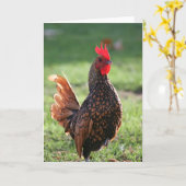 Coq, carte de note vierge (Fleur jaune)