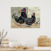 Coq de campagne mignon, pouce affiche de cuisine v (Cuisine)