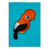 Coq-de-le-rock andin (Devant)