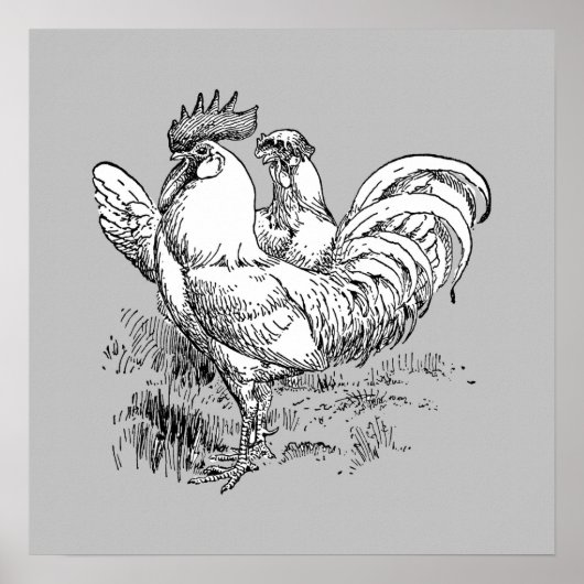 Coq Et Hen - Impression Archivée (Devant)