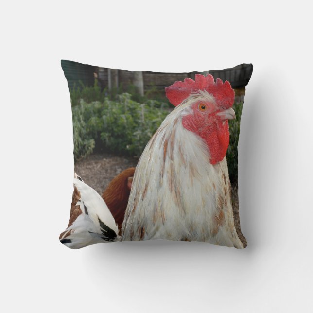Coq fièrement brun et blanc, Coussin de jet. (Recto)