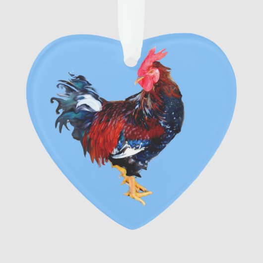 coq gallinacé mâle (devant)
