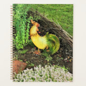 Coq jaune et vert (Devant)