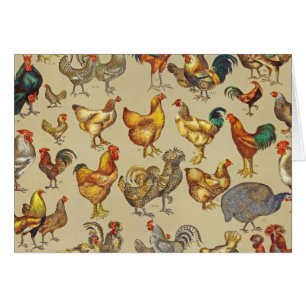 Coq Poulet de la ferme Volaille animale Pays