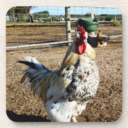 Coq Spectré À La Ferme, Dessous de verre (Devant)