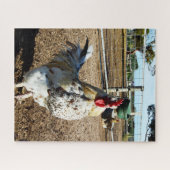 Coq Tacheté Dans Une Ferme, Puzzle (Horizontal)