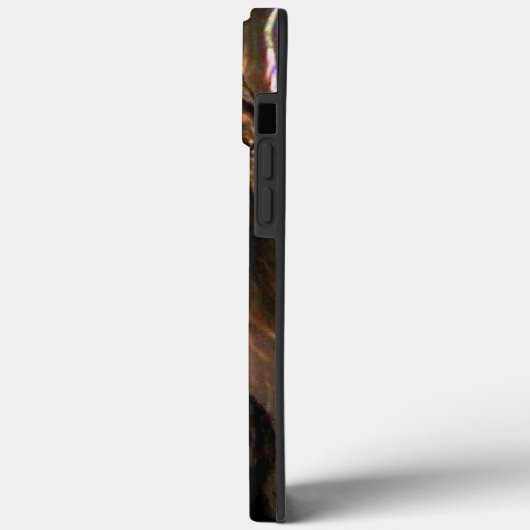 Coque amérindien coque iphone (Verso / Gauche)