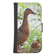 Mallard et Ducklings par Shirley Taylor