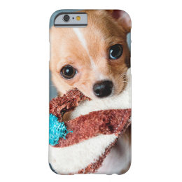 coque iphone 6 chihuahua coque iphone 6 chihuahua