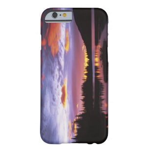 Coque Barely There iPhone 6 États-Unis, Washington, Mt. Rainier National Park,
