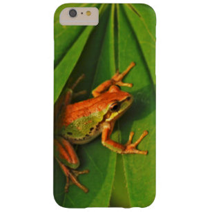 Coque Barely There iPhone 6 Plus États-Unis, Washington, Seattle, Discovery Park 2