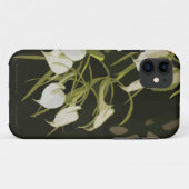 Coque Brassavola Orchid iPhone5 (Dos (Horizontal))