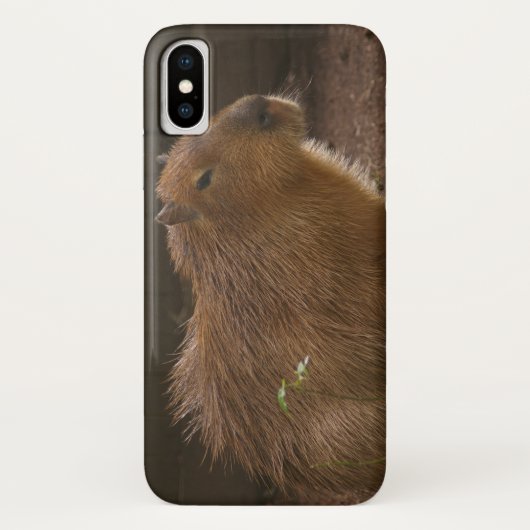 Coque Capybara coque iphone-Mate (Dos)