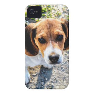 coque iphone 7 beagle coque iphone 7 beagle