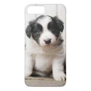 coque iphone 8 plus border collie coque iphone 8 plus border collie