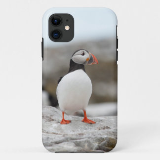 Coque Case-Mate Pour iPhone Coque iphone 5 de macareux