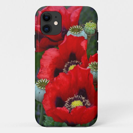 Coque Case-Mate Pour iPhone Coque iphone de fleurs de pavot rouge (Dos)