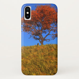 Coque Case-Mate Pour iPhone Effacer le coque iphone de la journée d'automne
