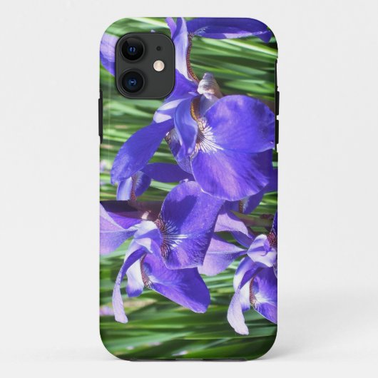 Coque Case-Mate Pour iPhone Purple Irises iPhone 5 coque (Dos)
