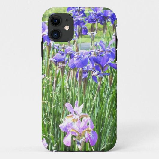 Coque Case-Mate Pour iPhone Purple Irises iPhone 5 coque (Dos)