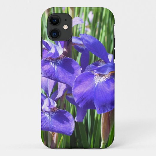 Coque Case-Mate Pour iPhone Purple Irises iPhone 5 coque (Dos)