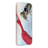 Coque Case-Mate Pour Samsung Galaxy Audubon : Écarlate IBIS (Dos/Droit)