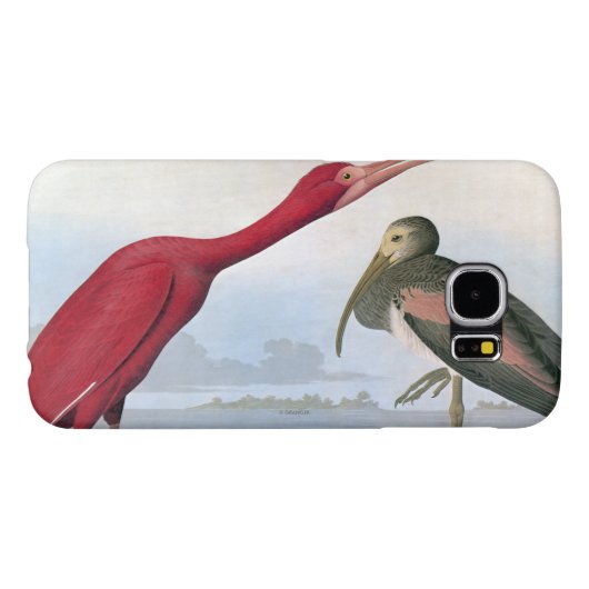 Coque Case-Mate Pour Samsung Galaxy Audubon : Écarlate IBIS (Dos Horizontal)