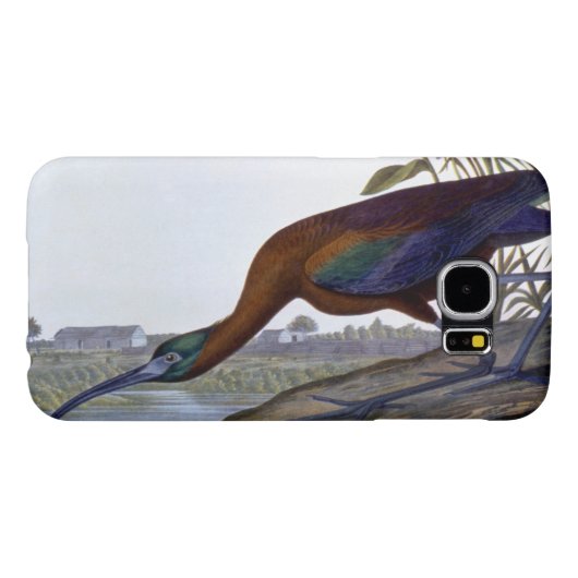 Coque Case-Mate Pour Samsung Galaxy Audubon : IBIS brillant (Dos Horizontal)