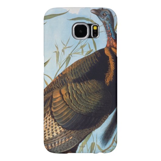 Coque Case-Mate Pour Samsung Galaxy Audubon : La Turquie sauvage (Dos)