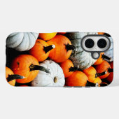 Coque Citrouille Apple iPhone (Verso (horizontal))