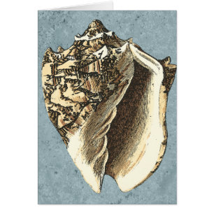 Coque conique en pierre