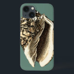 Coque conique turquoise<br><div class="desc">Dans cette belle coquille de conque noire et blanche classique, vous pouvez voir l'ombrage d'un coquillage naturel très pointu et clair. On peut s'imaginer à la chasse à la plage pour les coquillages ou jouer dans le sable. Obtenez dès aujourd'hui cette coquille de conque turquoise de style nautique sur vos...</div>