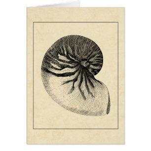 Coque conique vintage noire et blanche