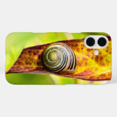 coque d'attachement calme-coque iphone d'accouplem (Verso (horizontal))