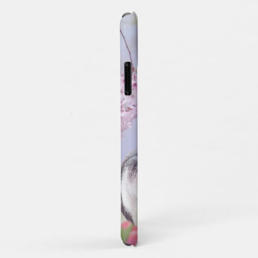 coque de Boston Terrier 11 (Dos/Droite)