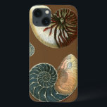 Coque de cacao<br><div class="desc">Obtenez cette image unique de coquillage Conch rouge et bleu pilé en pierre sur votre prochain produit. Cet extraordinaire cacao arrière - plan ces deux coquillages uniques. Emmenez la plage avec vous partout où vous allez.</div>