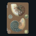 Coque de cacao<br><div class="desc">Obtenez cette image unique de coquillage Conch rouge et bleu pilé en pierre sur votre prochain produit. Cet extraordinaire cacao arrière - plan ces deux coquillages uniques. Emmenez la plage avec vous partout où vous allez.</div>
