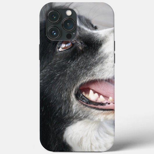 Coque de chien-coque iphone (Verso)