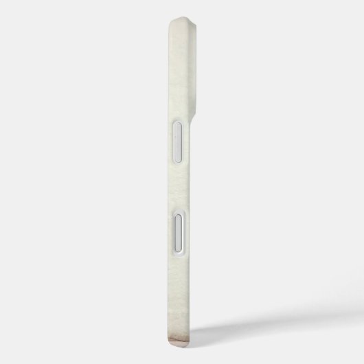 Coque de gâteaux (Verso / Droite)