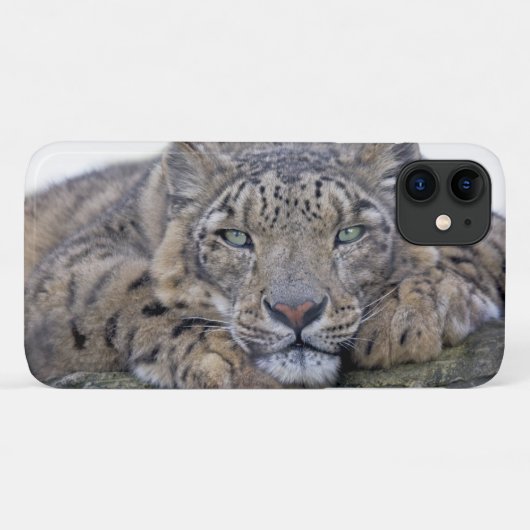 Coque de l'iPhone 11 de Regard vert (Dos (Horizontal))