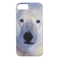 Coque de l'ours polaire iPhone 7