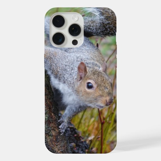Coque de téléphone écureuil mignon (Verso)